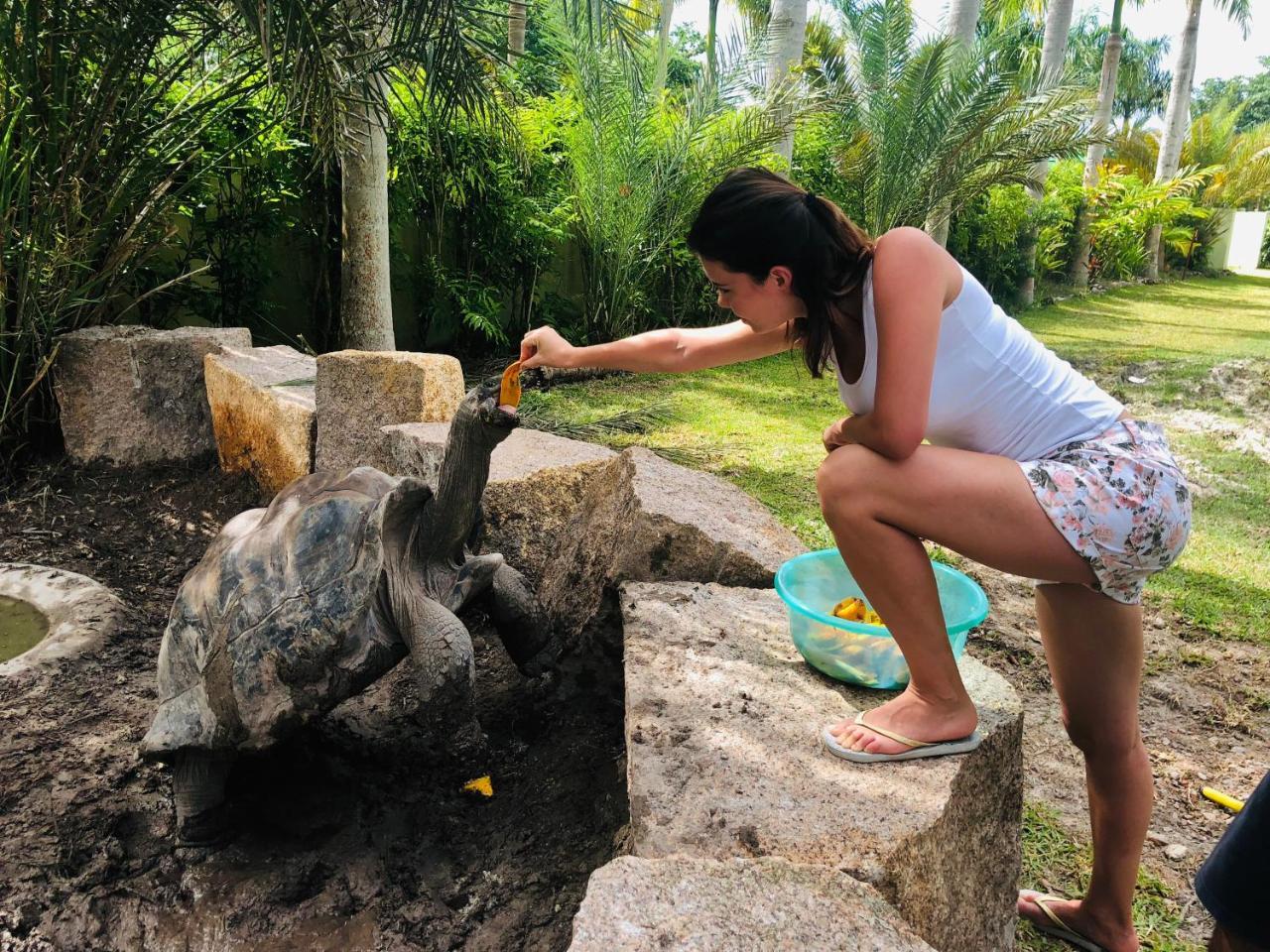La Modestie Guest House Grand Anse  Esterno foto